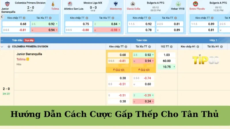 TIP88 Cược Gấp Thếp Là Gì? Hướng Dẫn Cách Cược Gấp Thếp Cho Tân Thủ